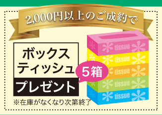 ボックティッシュプレゼント